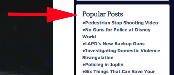 Popular Posts